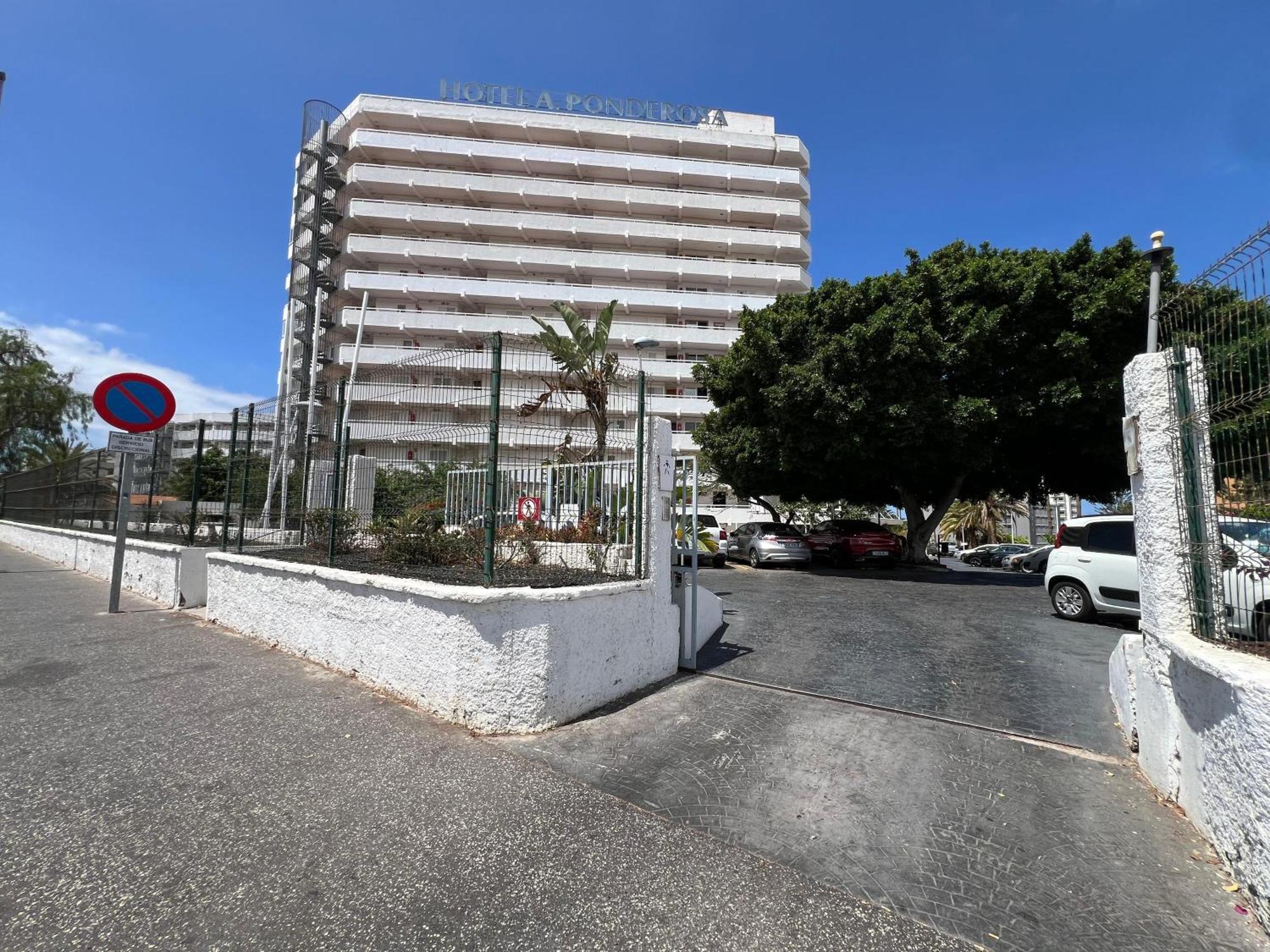 Tenerife Sea View 216 Playa Feñabe Exterior foto
